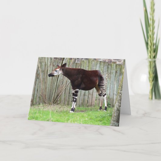 Cartes Pour Fêtes Annuelles Okapi debout à la clôture (Devant)