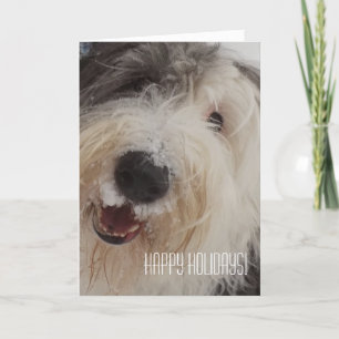 Cartes Pour Fêtes Annuelles Old English Sheepdog Card - Happy Holidays!