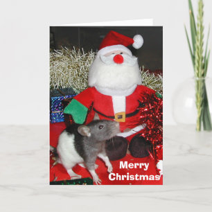 Cartes Pour Fêtes Annuelles Oliver rencontre Père Noël