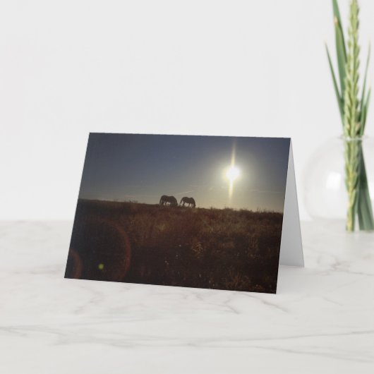 Cartes Pour Fêtes Annuelles OMRH Christmas 2008 (Devant)