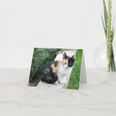 Cartes Pour Fêtes Annuelles Opera Phantom Chat (Devant)