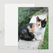 Cartes Pour Fêtes Annuelles Opera Phantom Chat (Devant / Derrière)