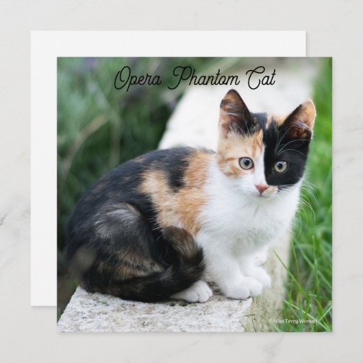 Cartes Pour Fêtes Annuelles Opera Phantom Chat (Devant / Derrière)