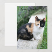 Cartes Pour Fêtes Annuelles Opera Phantom Chat (Devant / Derrière)