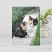 Cartes Pour Fêtes Annuelles Opera Phantom Chat (Debout devant)