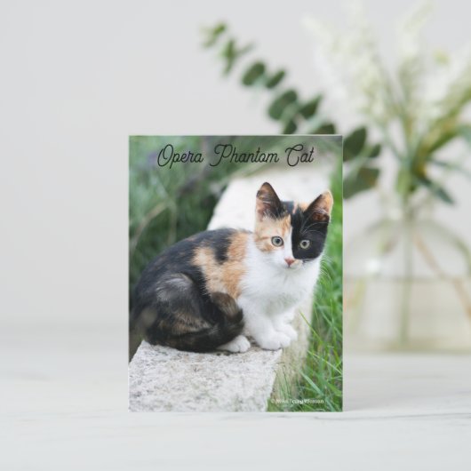 Cartes Pour Fêtes Annuelles Opera Phantom Chat (Debout devant)