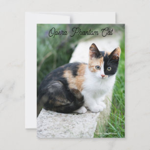 Cartes Pour Fêtes Annuelles Opera Phantom Chat