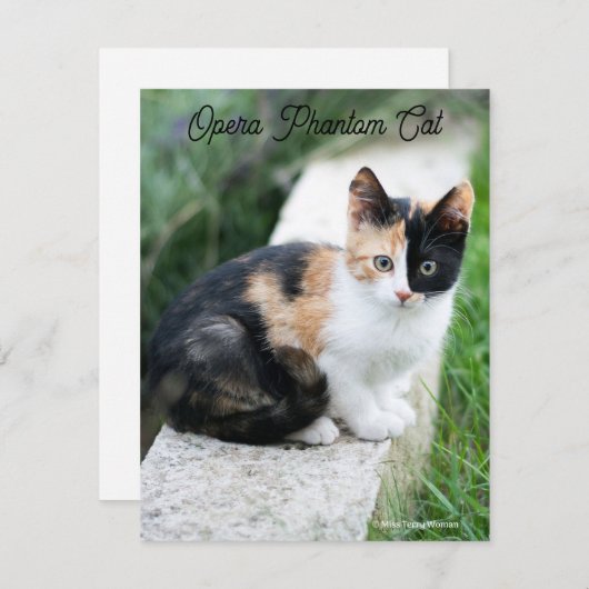 Cartes Pour Fêtes Annuelles Opera Phantom Chat (Devant / Derrière)