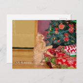 Cartes Pour Fêtes Annuelles Orange Tabby cat Noël (Devant / Derrière)