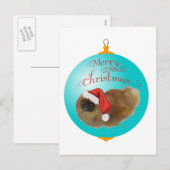 Cartes Pour Fêtes Annuelles Ordre de Pékin (Devant / Derrière)