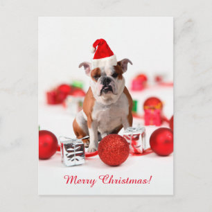Cartes Pour Fêtes Annuelles Ornements Boîte Cadeau de Noël Bulldog Chapeau Rou