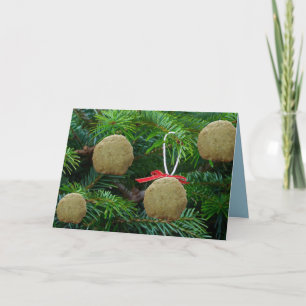 Cartes Pour Fêtes Annuelles Ornements de boule de Matzoh sur l'arbre de Noël -