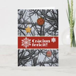 Cartes Pour Fêtes Annuelles Ornements de Noël roumains sur les branches de nei