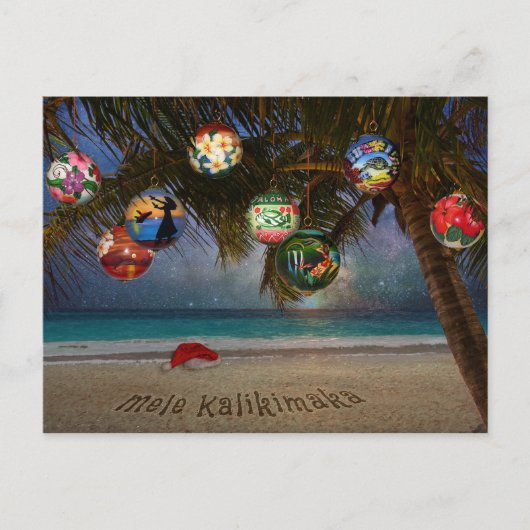 Cartes Pour Fêtes Annuelles Ornements de Noël tropicaux (Devant)