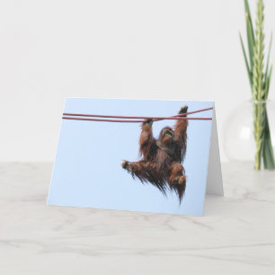 Cartes Pour Fêtes Annuelles Oscillation par nouvelle année