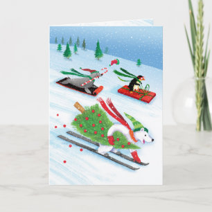 Cartes Pour Fêtes Annuelles Otarie Sledding de ski de pingouin d'ours blanc de