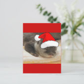 Cartes Pour Fêtes Annuelles Otter de Noël (Debout devant)
