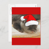 Cartes Pour Fêtes Annuelles Otter de Noël (Devant / Derrière)