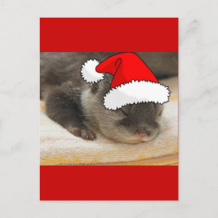 Cartes Pour Fêtes Annuelles Otter de Noël