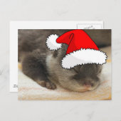 Cartes Pour Fêtes Annuelles Otter de Noël (Devant / Derrière)