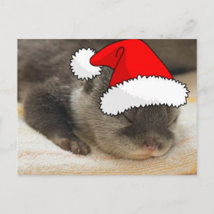 Cartes Pour Fêtes Annuelles Otter de Noël