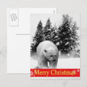 Cartes Pour Fêtes Annuelles Ours blanc de Joyeux Noël ! (Devant / Derrière)