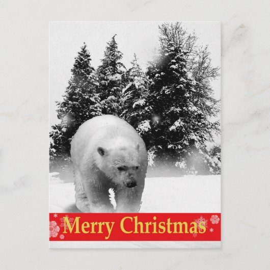 Cartes Pour Fêtes Annuelles Ours blanc de Joyeux Noël ! (Devant)