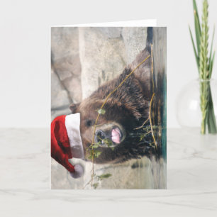 Cartes Pour Fêtes Annuelles Ours de Grizzley dans un casquette de Père Noël