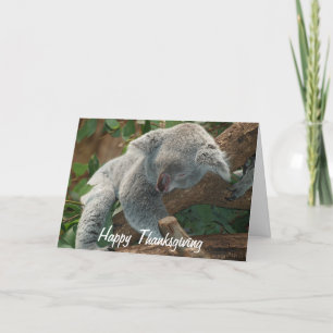 Cartes Pour Fêtes Annuelles Ours de koala faisant une sieste de bon