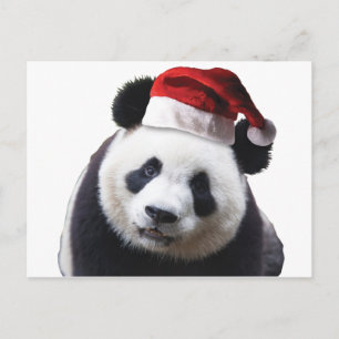 Cartes Pour Fêtes Annuelles Ours de panda de Noël avec chapeau de Père Noël
