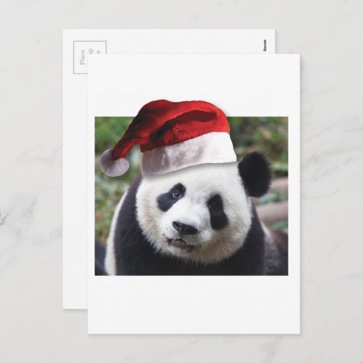 Cartes Pour Fêtes Annuelles Ours de panda Noël (Devant / Derrière)