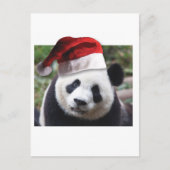 Cartes Pour Fêtes Annuelles Ours de panda Noël (Devant)