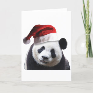 Cartes Pour Fêtes Annuelles Ours de panda Noël