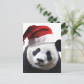 Cartes Pour Fêtes Annuelles Ours de panda Noël (Debout devant)
