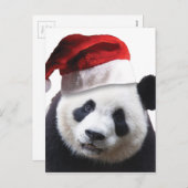 Cartes Pour Fêtes Annuelles Ours de panda Noël (Devant / Derrière)