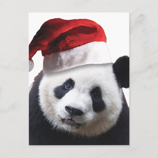 Cartes Pour Fêtes Annuelles Ours de panda Noël (Devant)