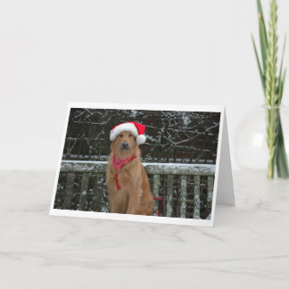 Cartes Pour Fêtes Annuelles ours de père Noël