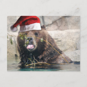 Cartes Pour Fêtes Annuelles Ours grizzli avec chapeau de Père Noël
