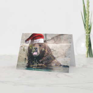 Cartes Pour Fêtes Annuelles Ours grizzli dans un chapeau de Père Noël