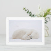 Cartes Pour Fêtes Annuelles Ours polaire dormant (Debout devant)
