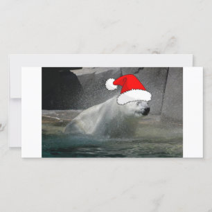 Cartes Pour Fêtes Annuelles Ours polaires de Noël