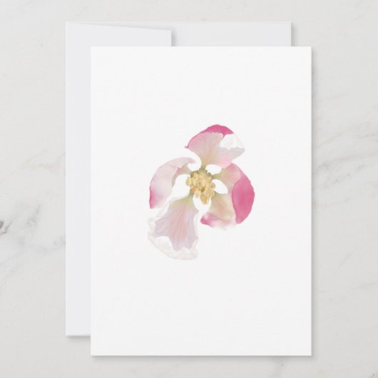 Cartes Pour Fêtes Annuelles Ouverture de la floraison Apple (Devant)