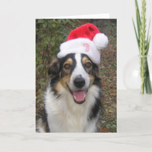 Cartes Pour Fêtes Annuelles "Paige jouant à Père Noël !"
