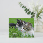 Cartes Pour Fêtes Annuelles paire de chatons en herbe (Debout devant)