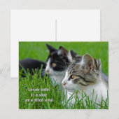 Cartes Pour Fêtes Annuelles paire de chatons en herbe (Devant / Derrière)