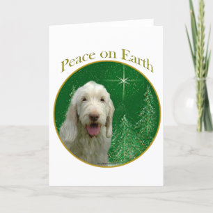 Cartes Pour Fêtes Annuelles Paix de Spinone Italiano