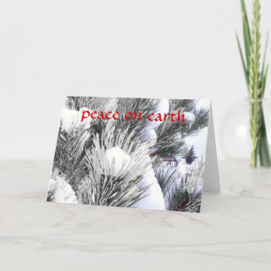 Cartes Pour Fêtes Annuelles Paix neigeuse Bénédiction hivernale Cheval Pony No