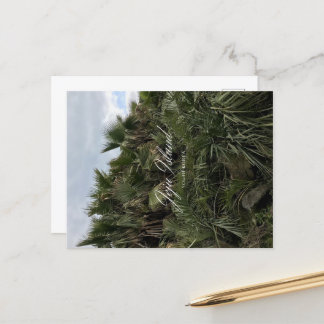 Cartes Pour Fêtes Annuelles Palmier - Jeju - Île Jeju - Corée du Sud