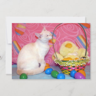 Cartes Pour Fêtes Annuelles Panier de Pâques de Tiffany - Chat/ Chatons - Car