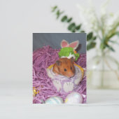 Cartes Pour Fêtes Annuelles Panier Hammy de Pâques (Debout devant)